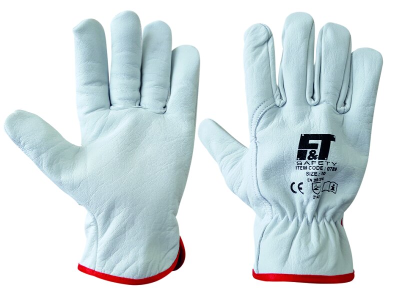 FT LEATHER DRIVER GLOVES (0789)